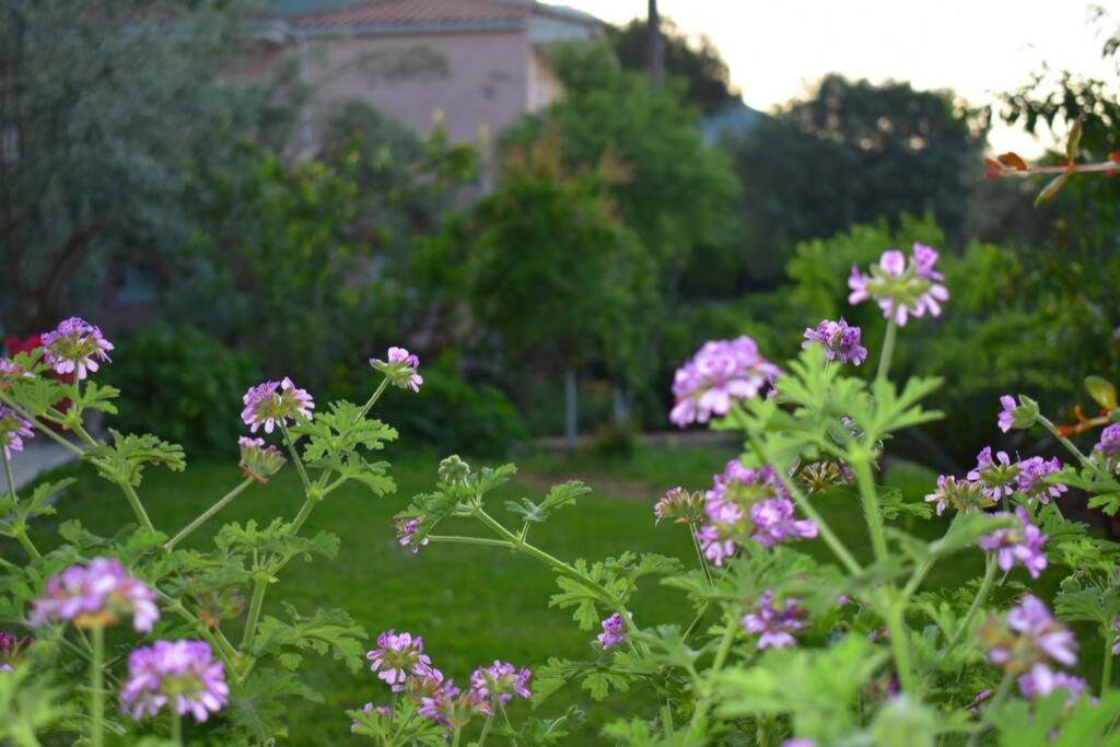 Villa Sunset Lefkas Agios Ioannis  Bagian luar foto